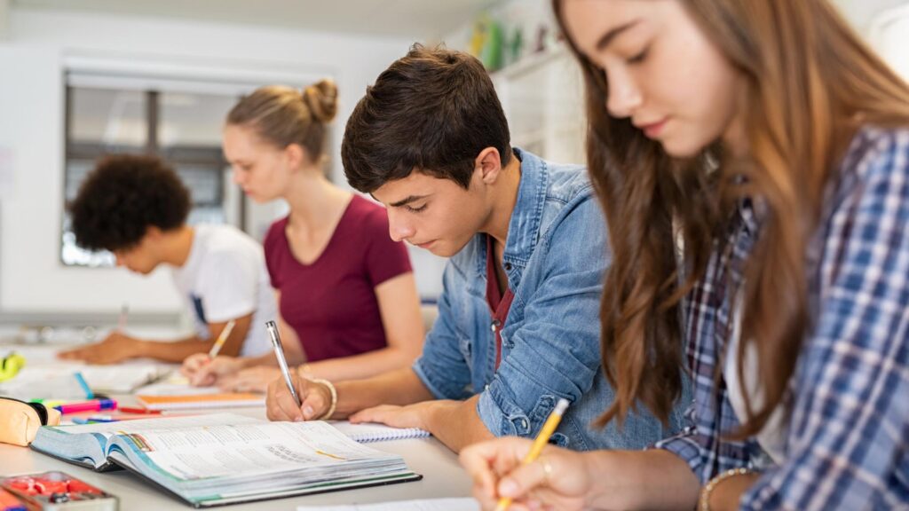 Çocuğumu 9. Sınıftan İtibaren mi Özel Okula Göndermeliyim, Yoksa Son 2 Yıl Yeter mi? 6 idea2 - kolej idea
